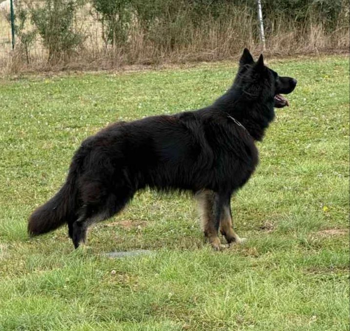 Urko Du Creux Céleste