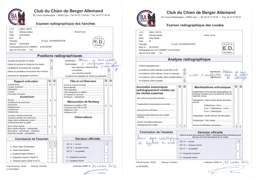 05/11 : Résultats des radios d'Adelaar