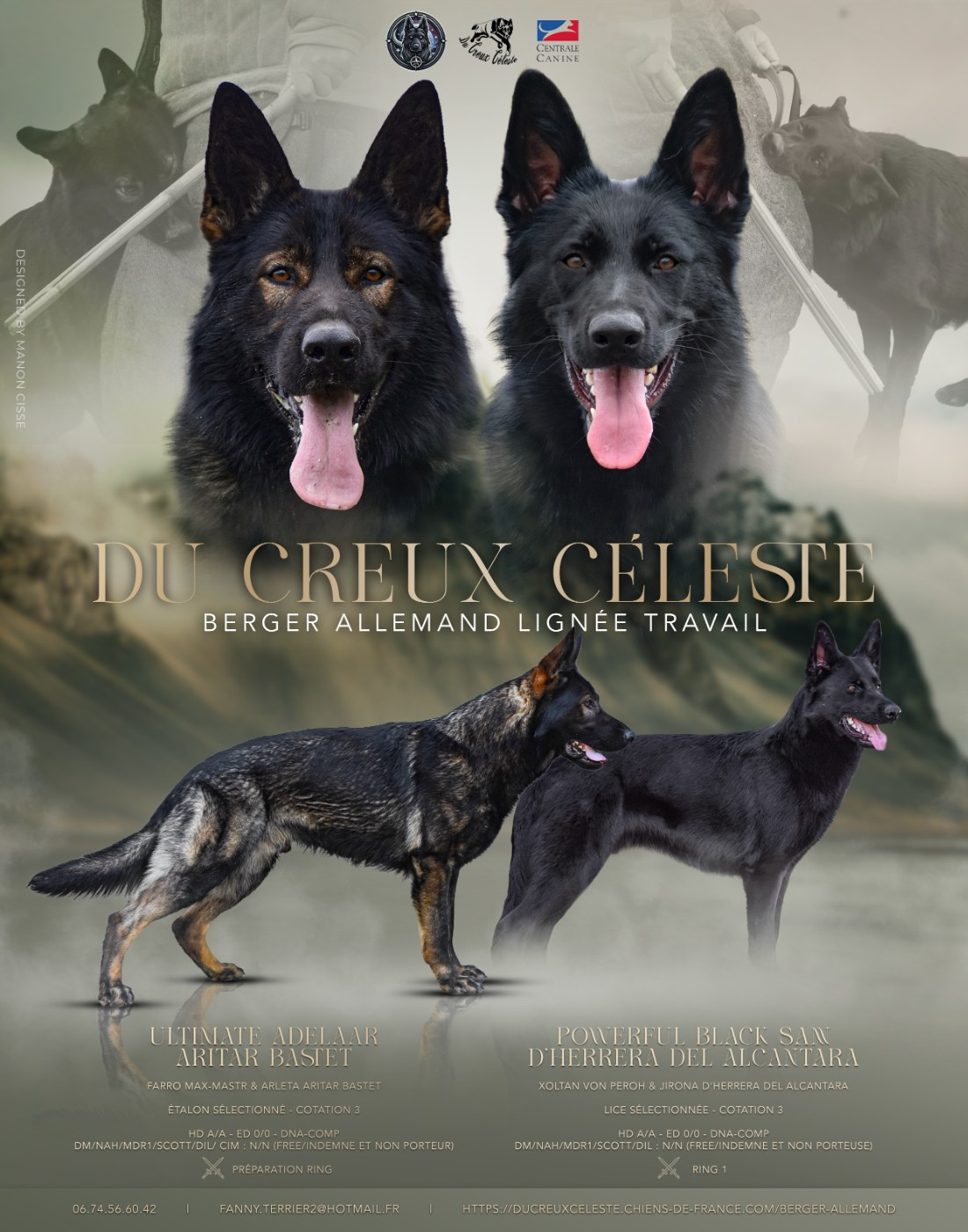 Chiot Berger Allemand Du Creux Céleste